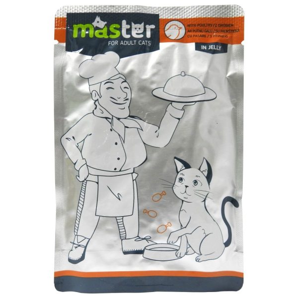 Plic, Master, Hrana Pisici 80 g Pasare in Jeleu