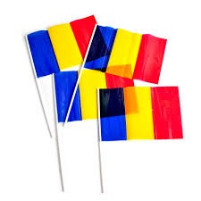 Steag de mana tricolor 20 x 30 CM - Image 4